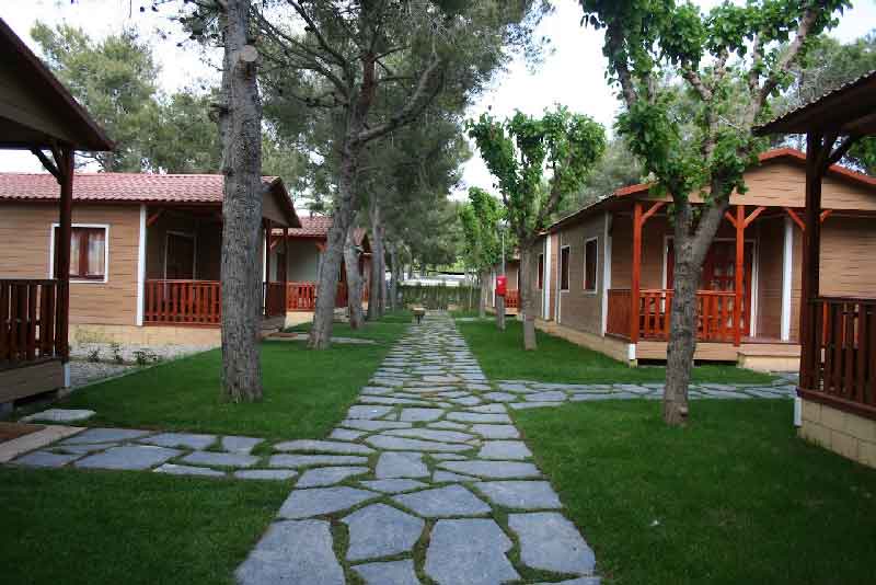 camping platja vilanova