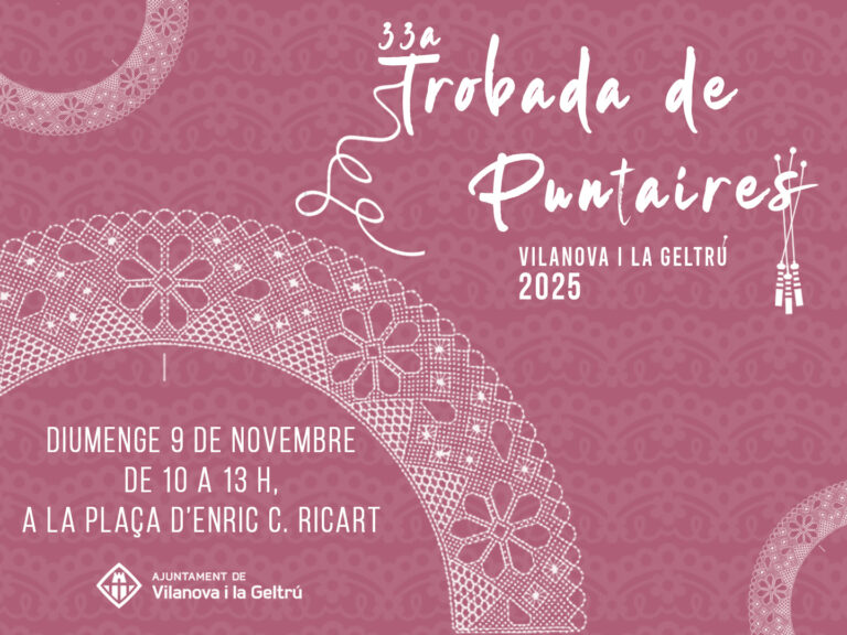 33a trobada de puntaires