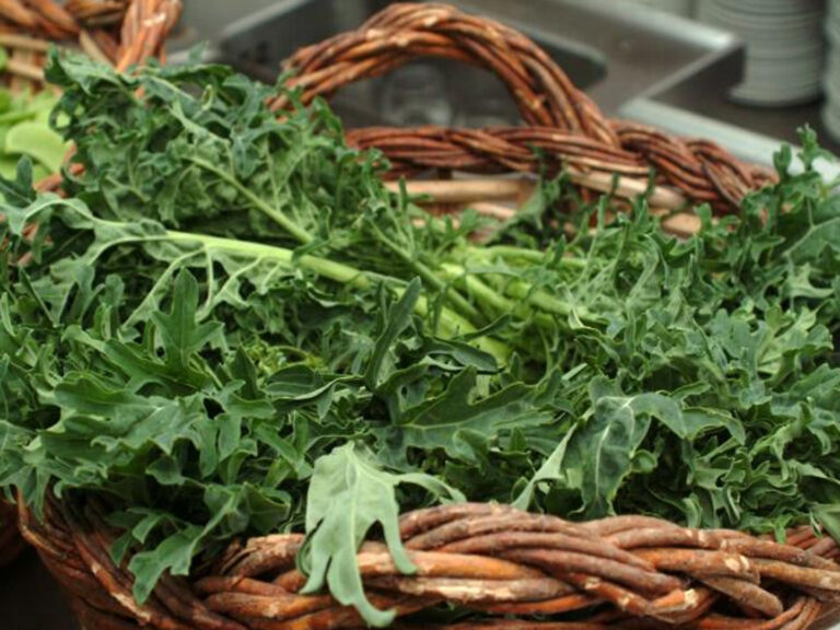 8ena festa de l espigall