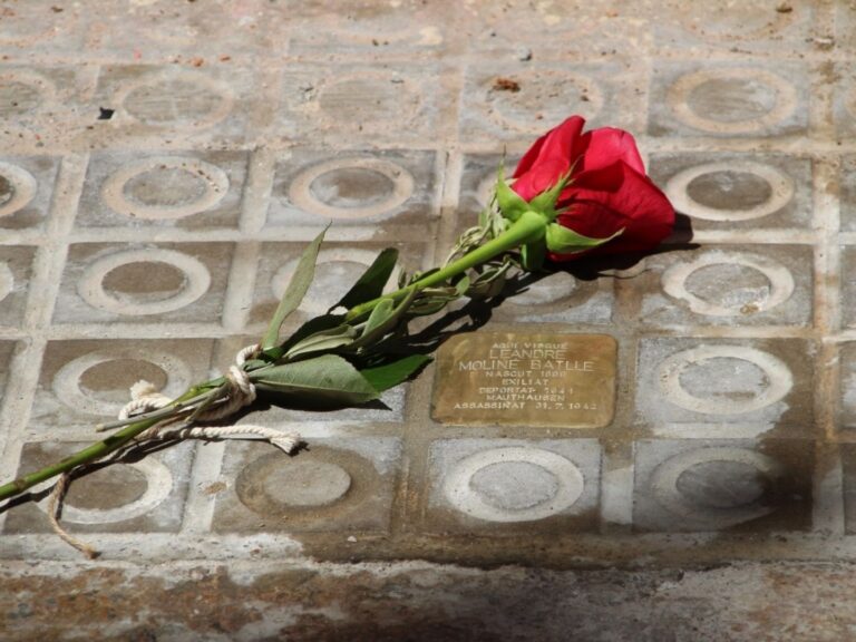 acte d apadrinament de les llambordes stolpersteine pels ies de la ciutat