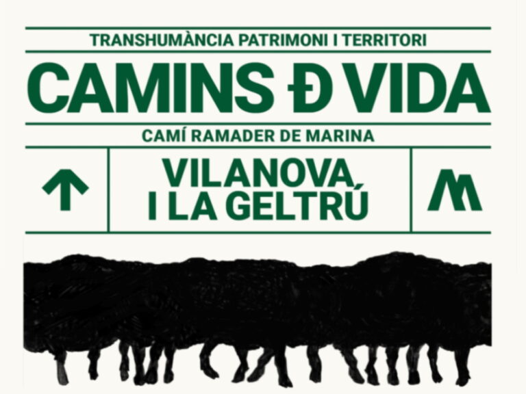 camins de vida