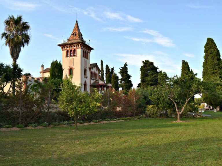 cicle de caminades esport i patrimoni