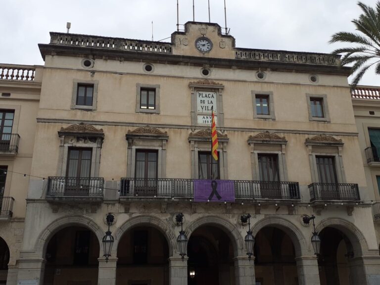 declaracio institucional 25n