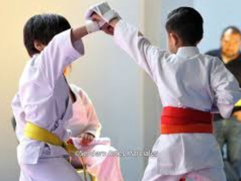 Descobreix les arts marcials