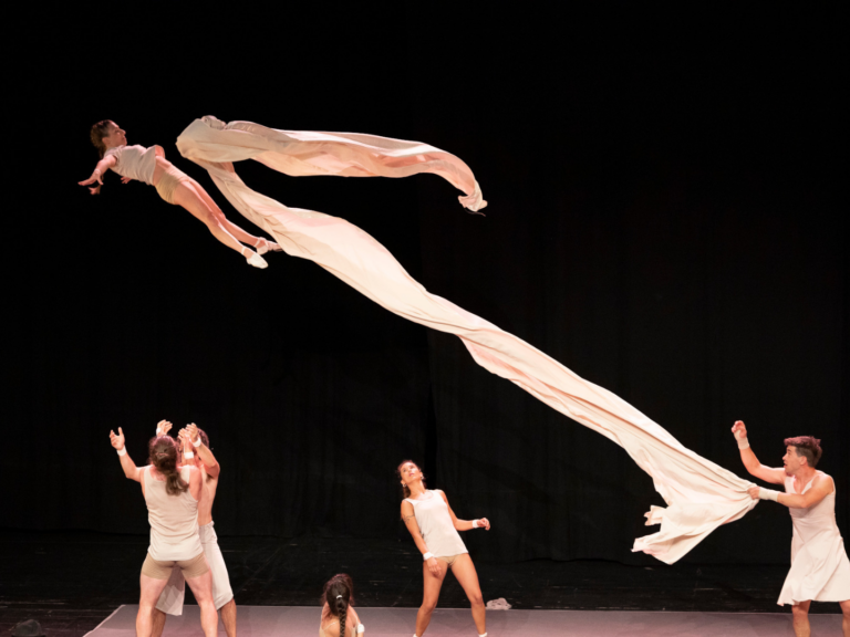 desprovisto cia uparte