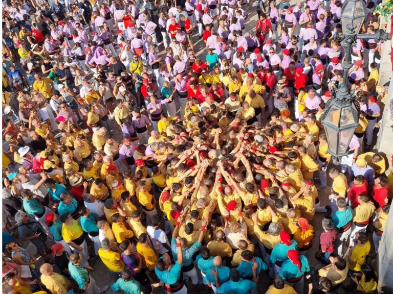 diada castellera de les neus