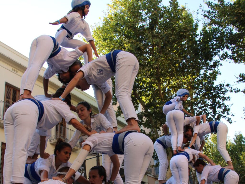 Diada dels Falcons de Vilanova