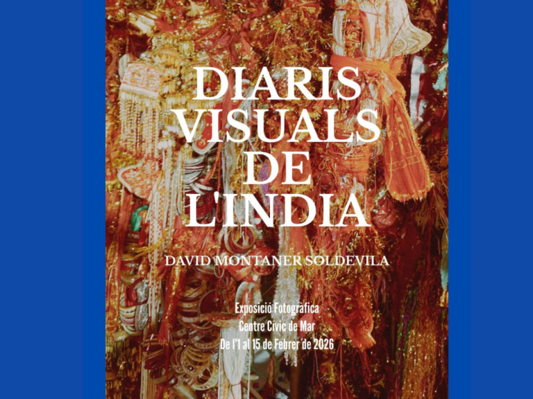 diaris visuals de l india