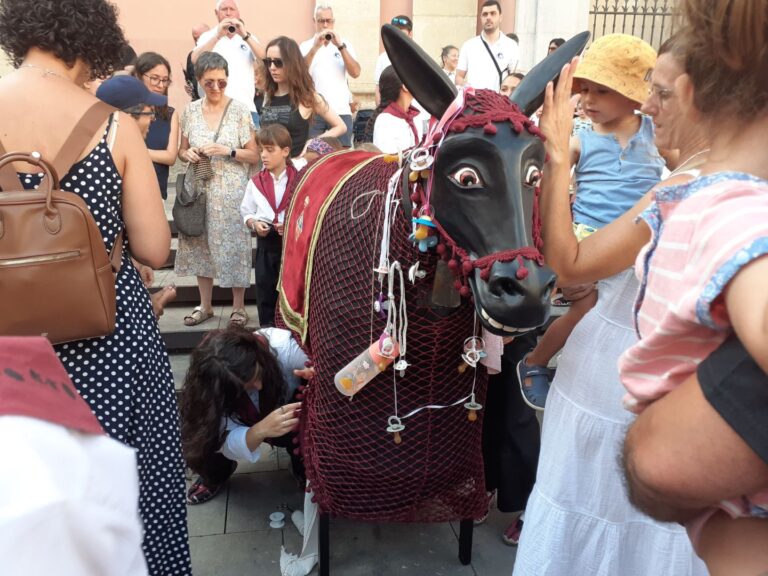dona el xumet a les mulasses