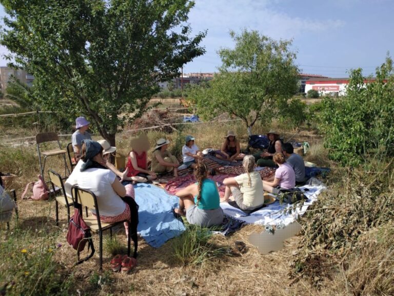 el cami de la natura un viatge literari i sensorial amb artterapia