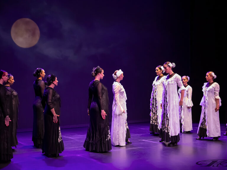espectacle de ball de flamenc