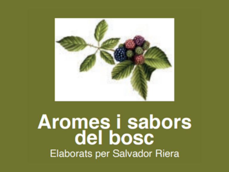 exposicio aromes i sabors del bosc
