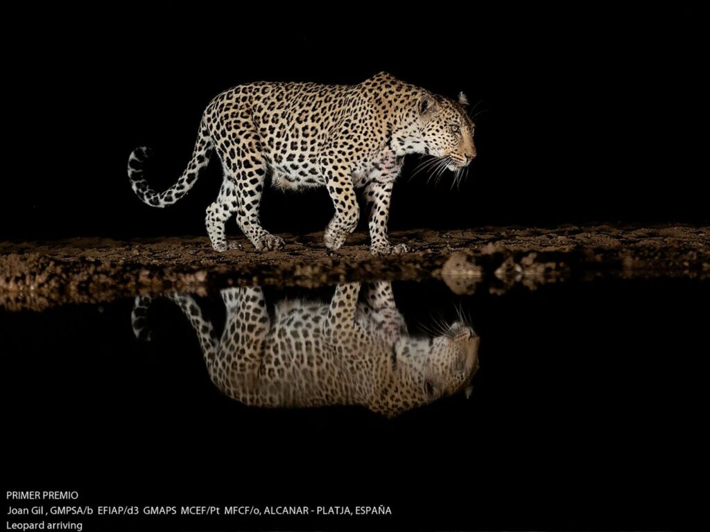 EXPOSICIÓ: Fotoítaca: les millors fotos del 2024
