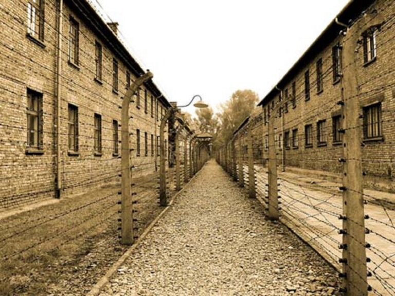 Exposició sobre els deportats i deportades als camps nazis del Penedès -Garraf