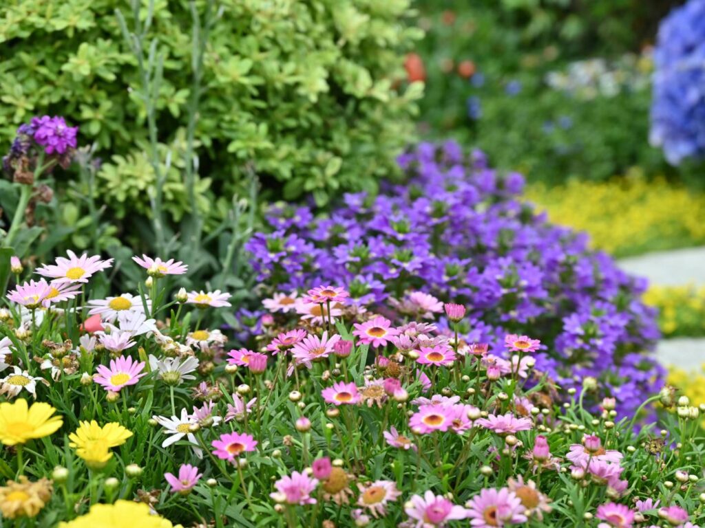 Fem florir el pati de l'IMET