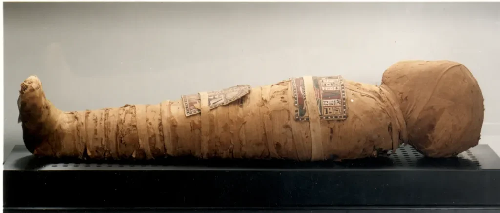 El cuerpo momoficado de Nesi en el museo Victor Balaguer de Vilanova