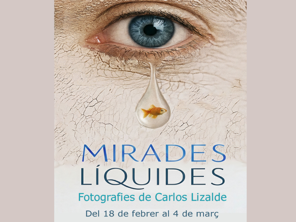 Mirades líquides
