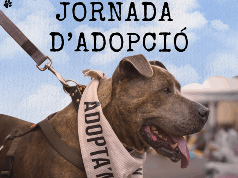 passarel la de gossos per adopcio