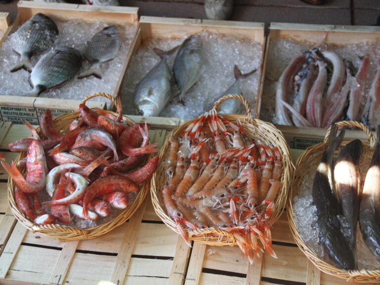 subhasta de peix a l antiga