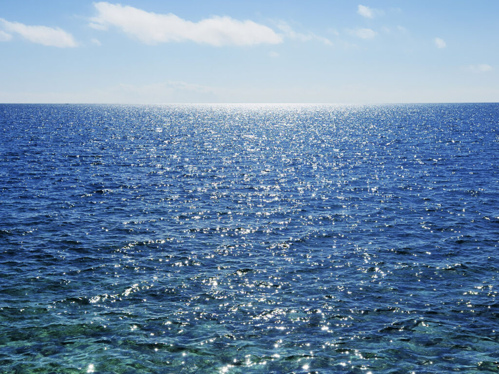 Taller dansa, moviment, teràpia