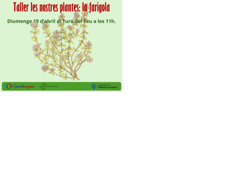 taller de les nostres plantes la farigola