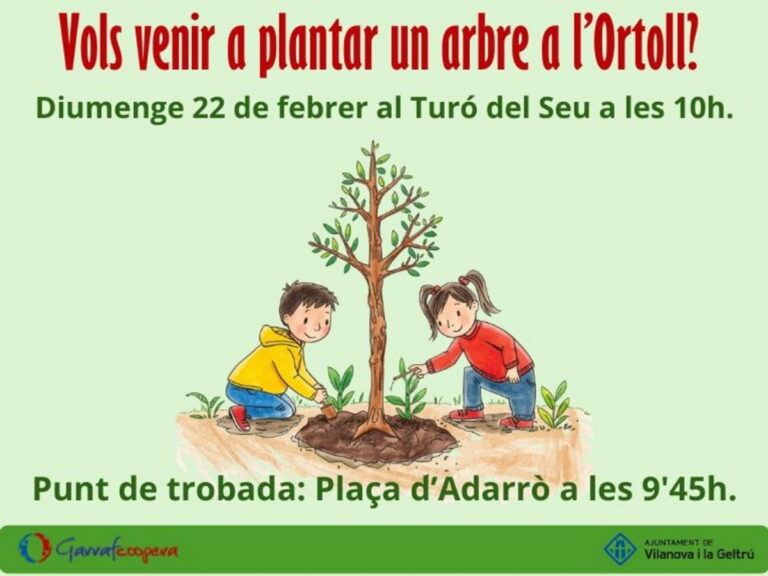 vols veniar a plantar un arbre a l ortoll